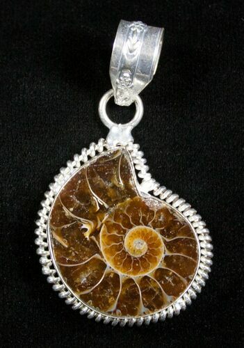 Ammonite Pendant #3154